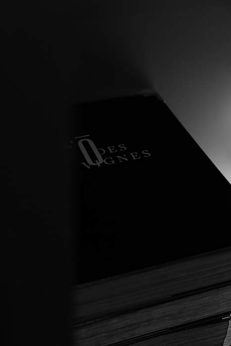 Restaurant étoilé Saône-et-Loire, Fuissé · Plat de L’O des Vignes · L’O des Vignes