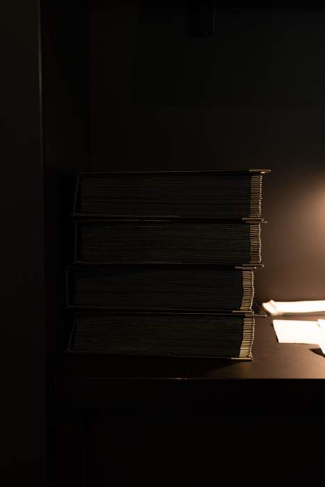 Restaurant étoilé Saône-et-Loire, Fuissé · Plat de L’O des Vignes · L’O des Vignes