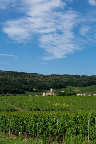 Restaurant étoilé Saône-et-Loire, Fuissé · L’O des Vignes